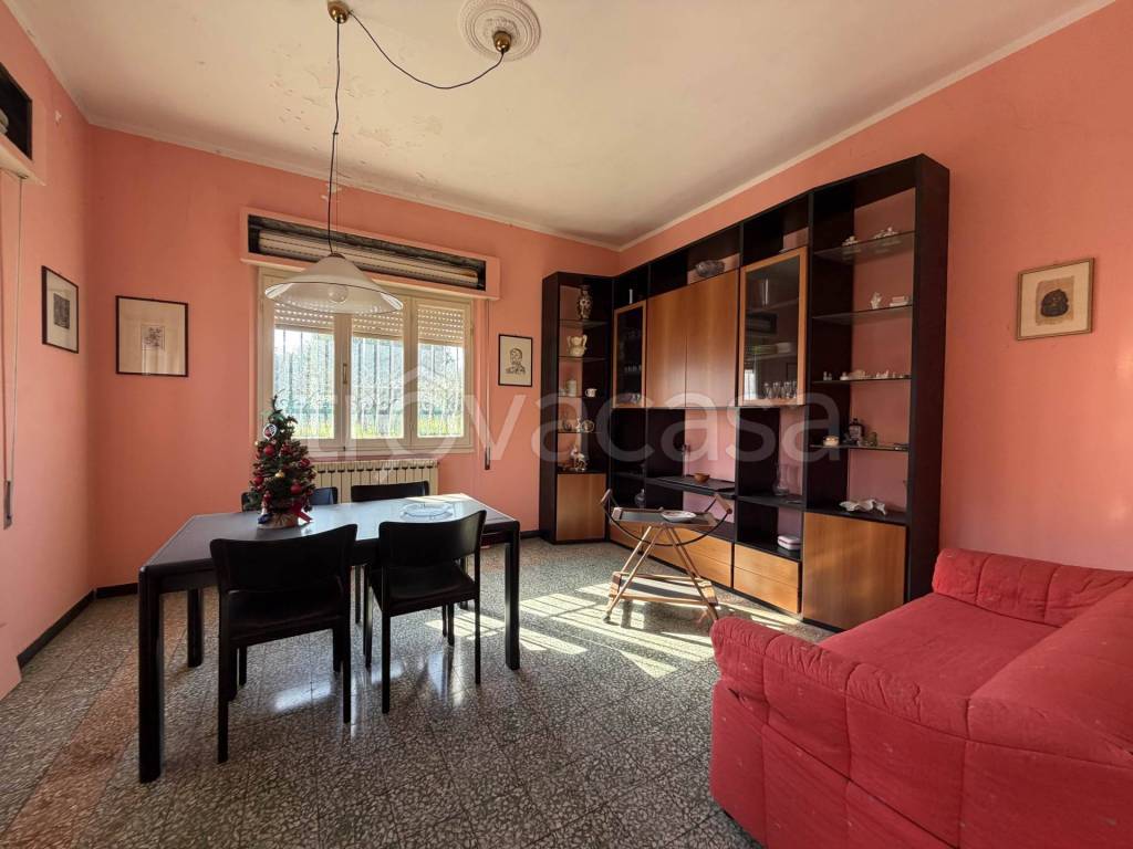 immagine annuncio 10 di 14
