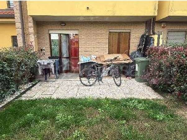 immagine annuncio 4 di 14