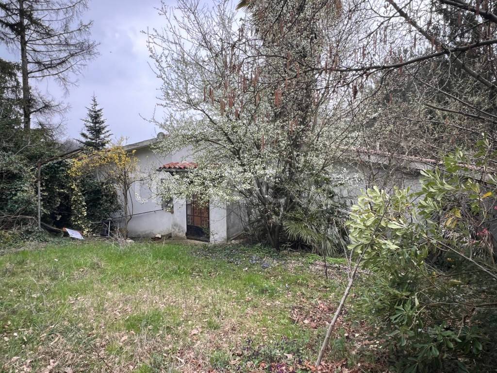 immagine annuncio 1 di 11