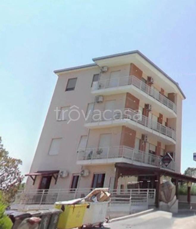 immagine annuncio 10 di 11