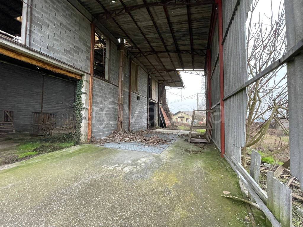 immagine annuncio 5 di 15