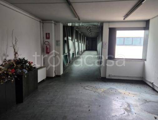 immagine annuncio 6 di 13