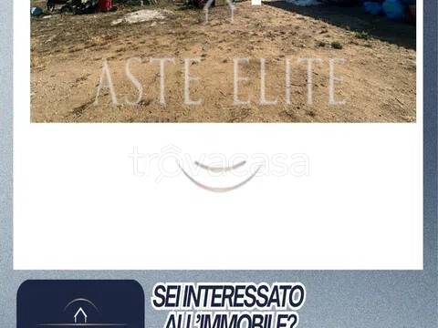immagine annuncio 13 di 14