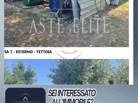 immagine annuncio 2 di 13