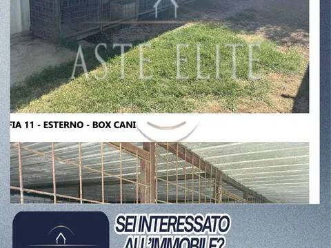 immagine annuncio 3 di 13