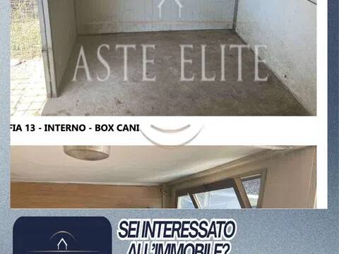 immagine annuncio 4 di 13