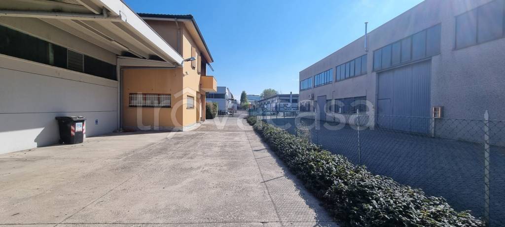 immagine annuncio 5 di 15