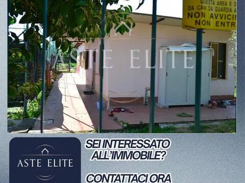immagine annuncio 5 di 7