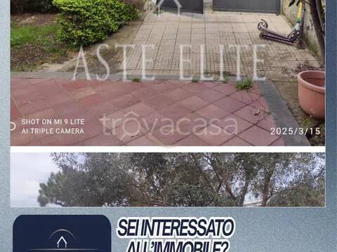 immagine annuncio 1 di 14