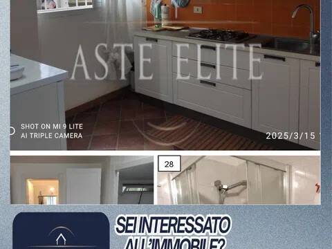 immagine annuncio 10 di 14