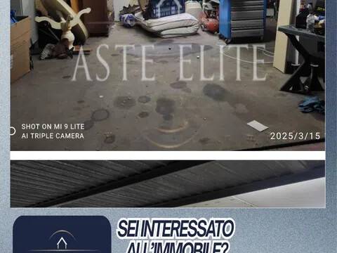 immagine annuncio 12 di 14