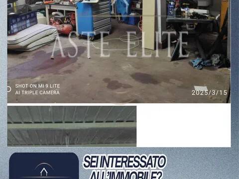 immagine annuncio 13 di 14