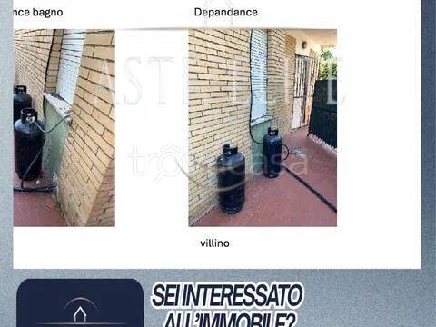 immagine annuncio 2 di 4