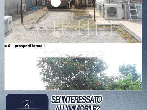 immagine annuncio 1 di 6