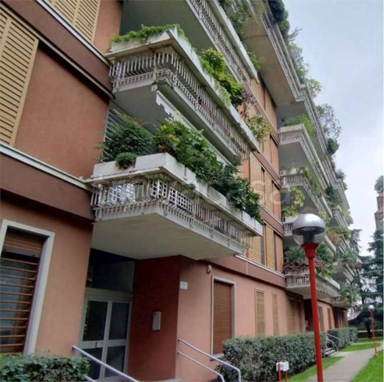 immagine annuncio 1 di 14