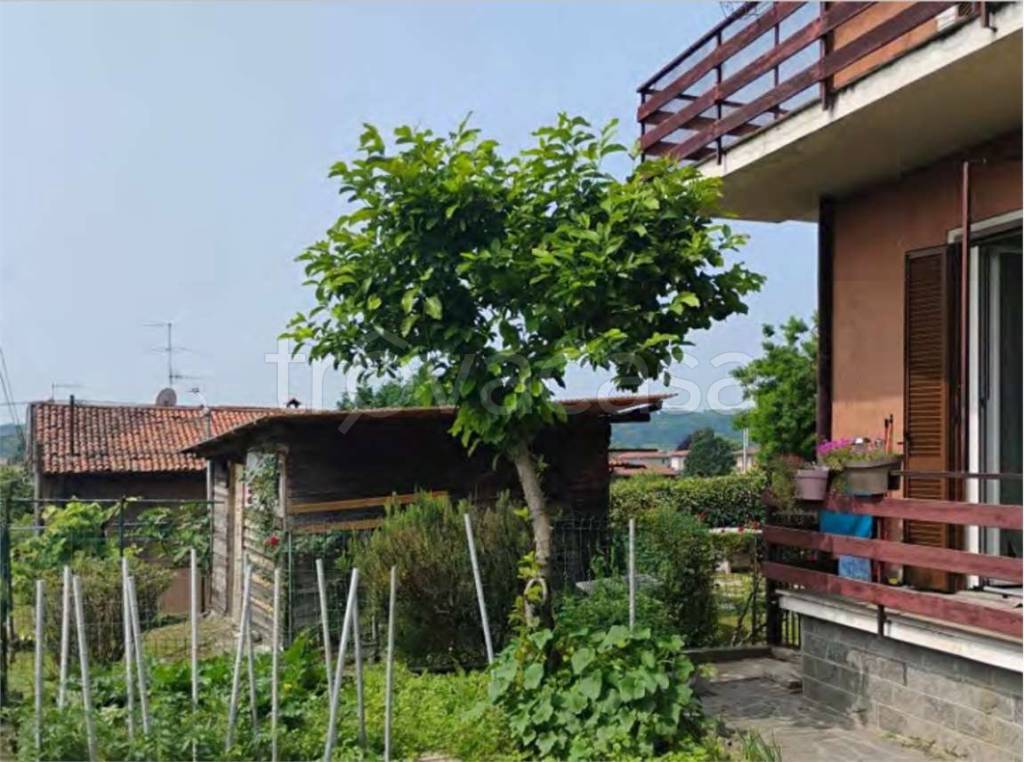 immagine annuncio 11 di 14