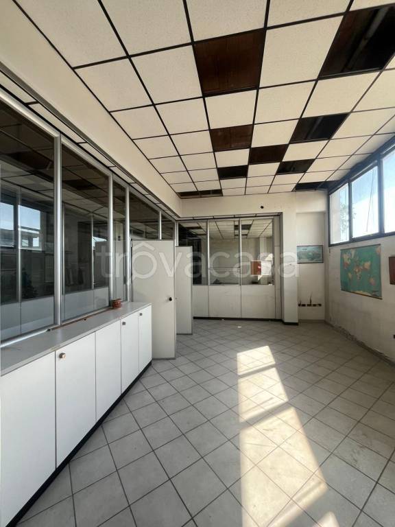 immagine annuncio 9 di 13