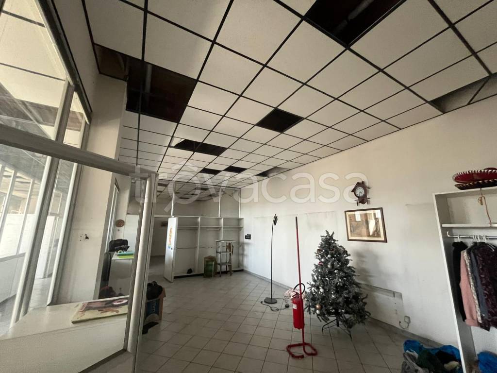 immagine annuncio 12 di 13