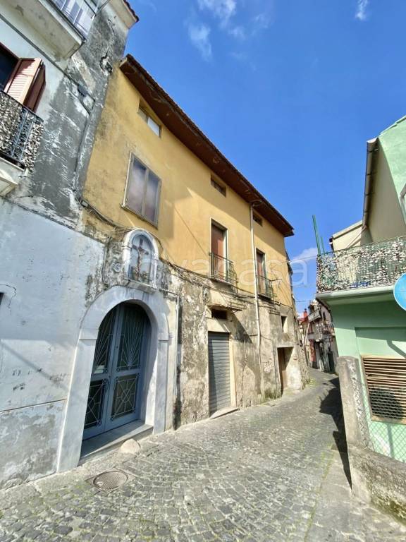 immagine annuncio 12 di 14