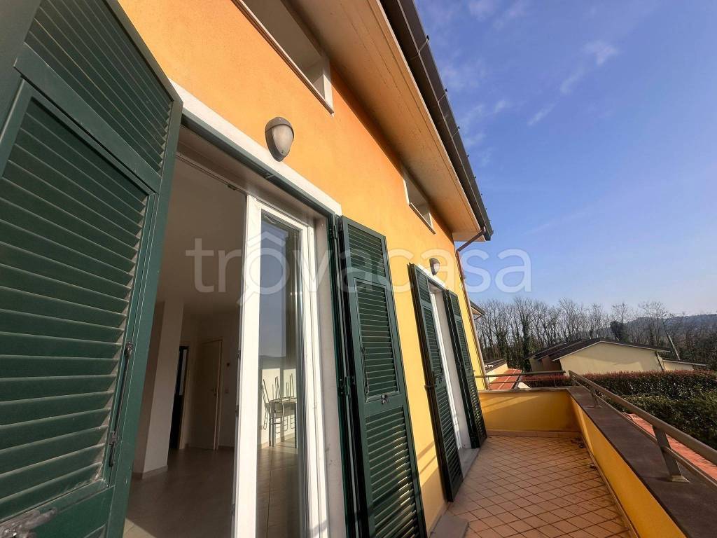 immagine annuncio 9 di 14