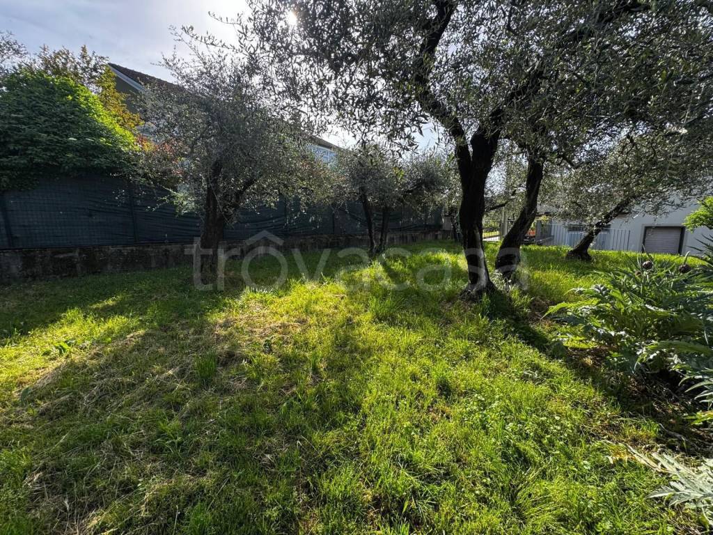 immagine annuncio 1 di 6