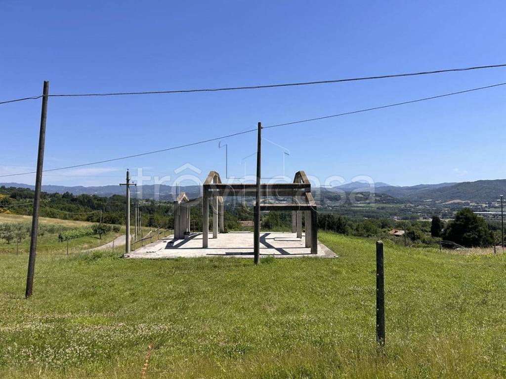 immagine annuncio 3 di 7