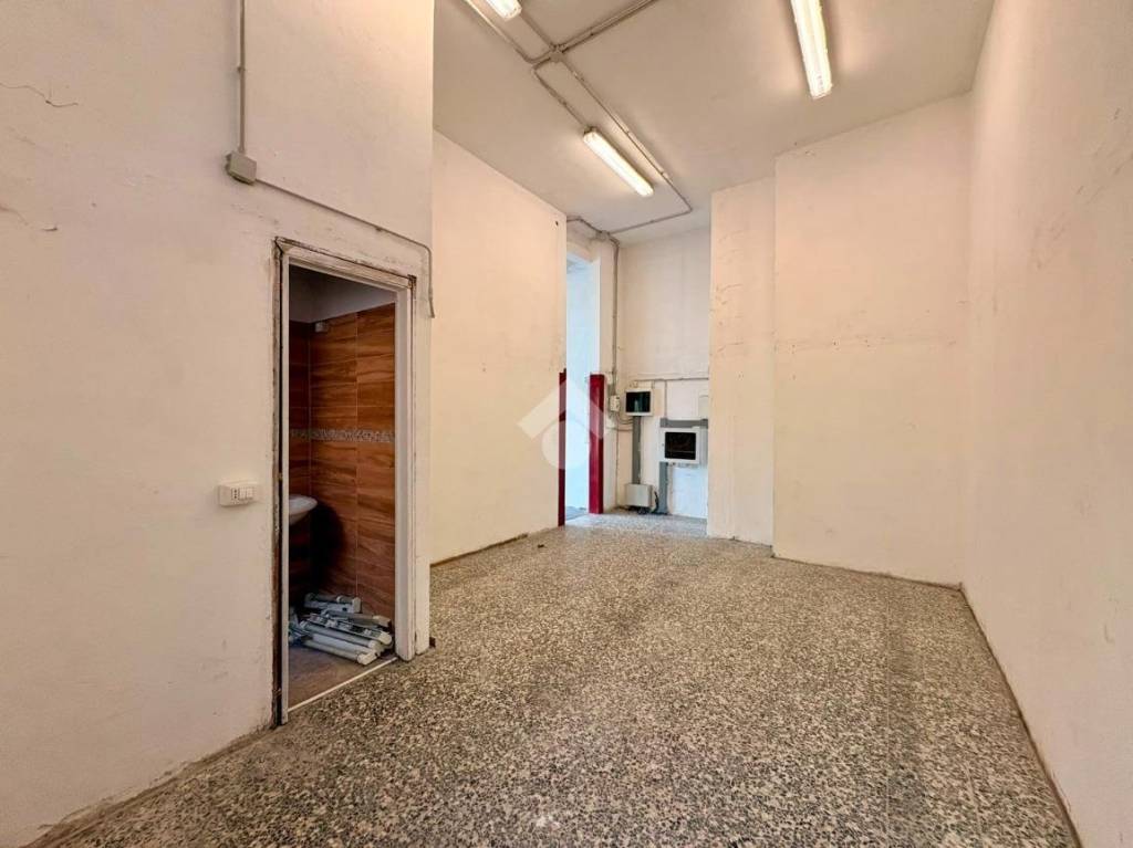 immagine annuncio 8 di 14