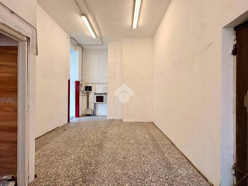 immagine annuncio 9 di 14