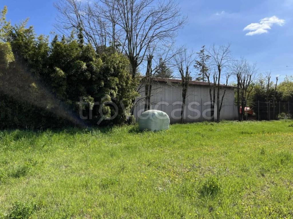 immagine annuncio 1 di 8