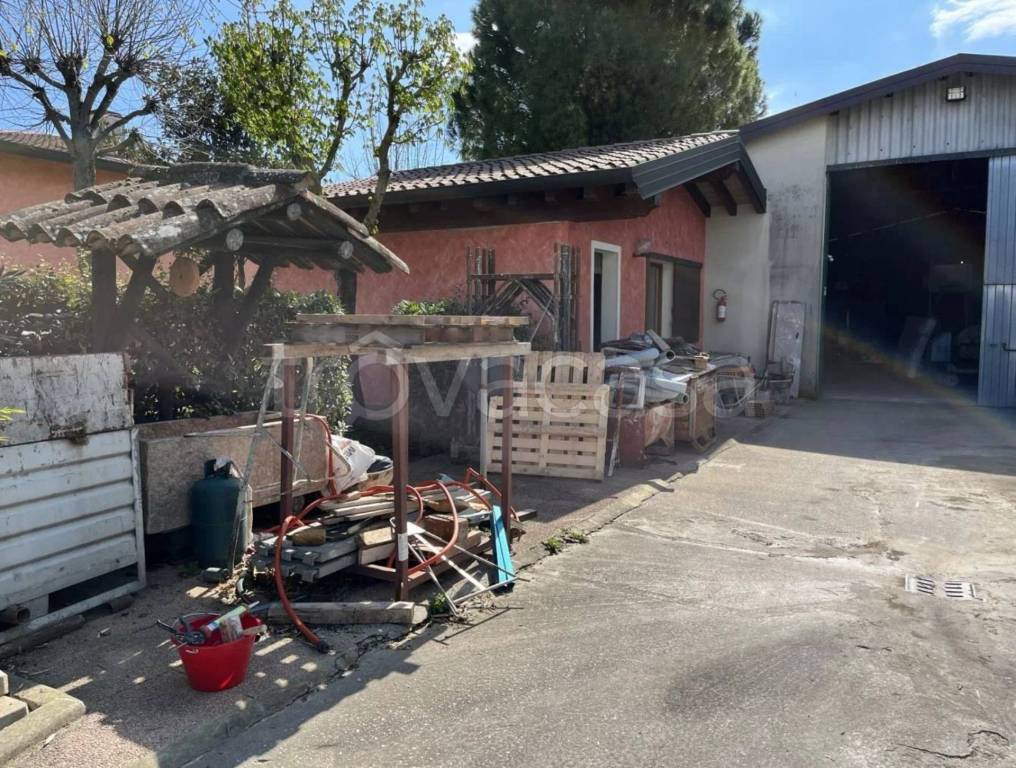 immagine annuncio 4 di 8