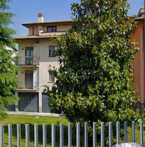 immagine annuncio 2 di 12