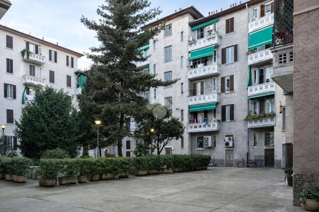 immagine annuncio 2 di 12