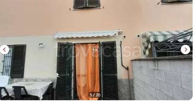 immagine annuncio 2 di 14