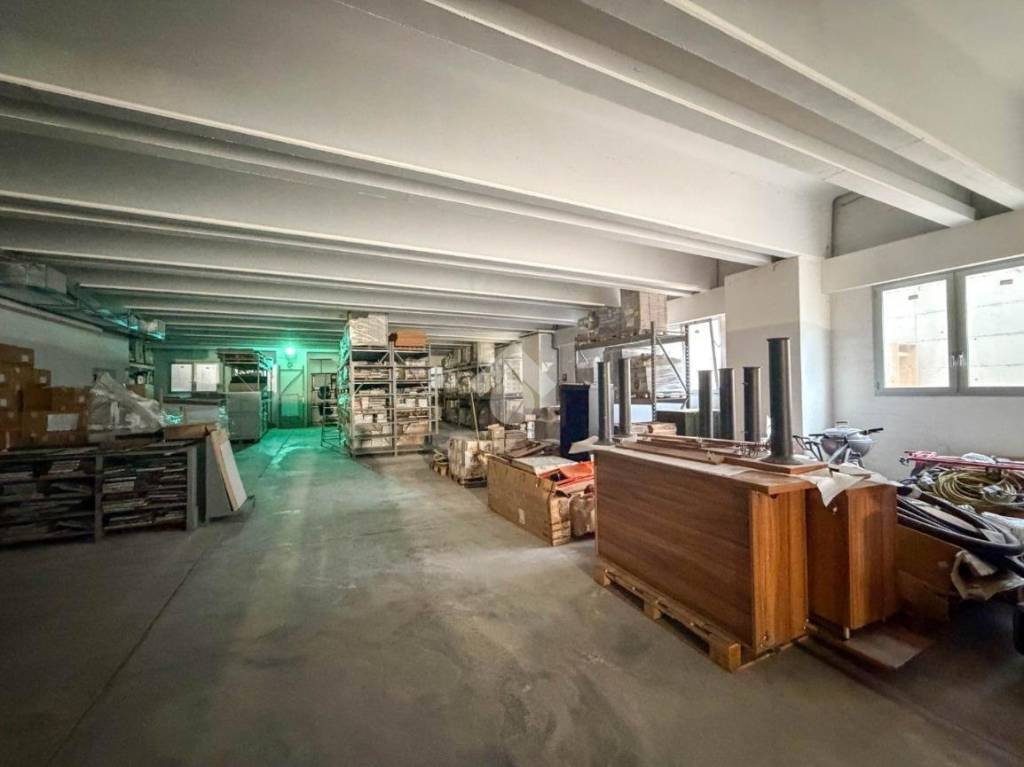 immagine annuncio 9 di 14
