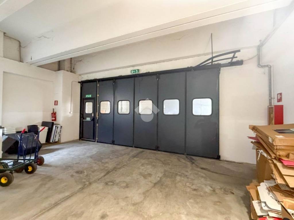 immagine annuncio 12 di 14
