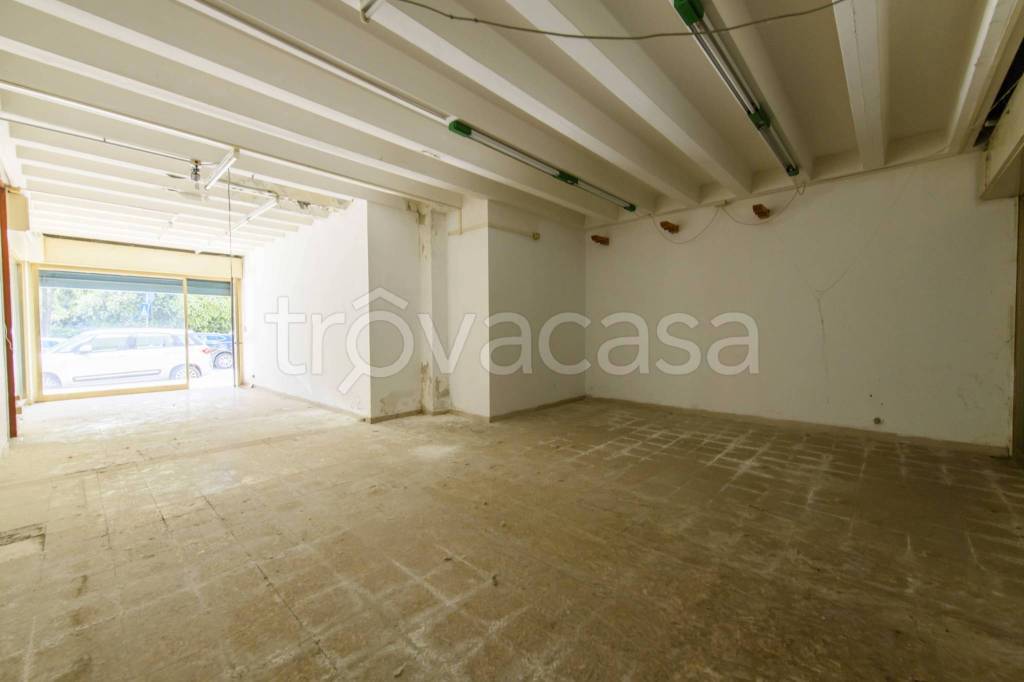 immagine annuncio 2 di 6