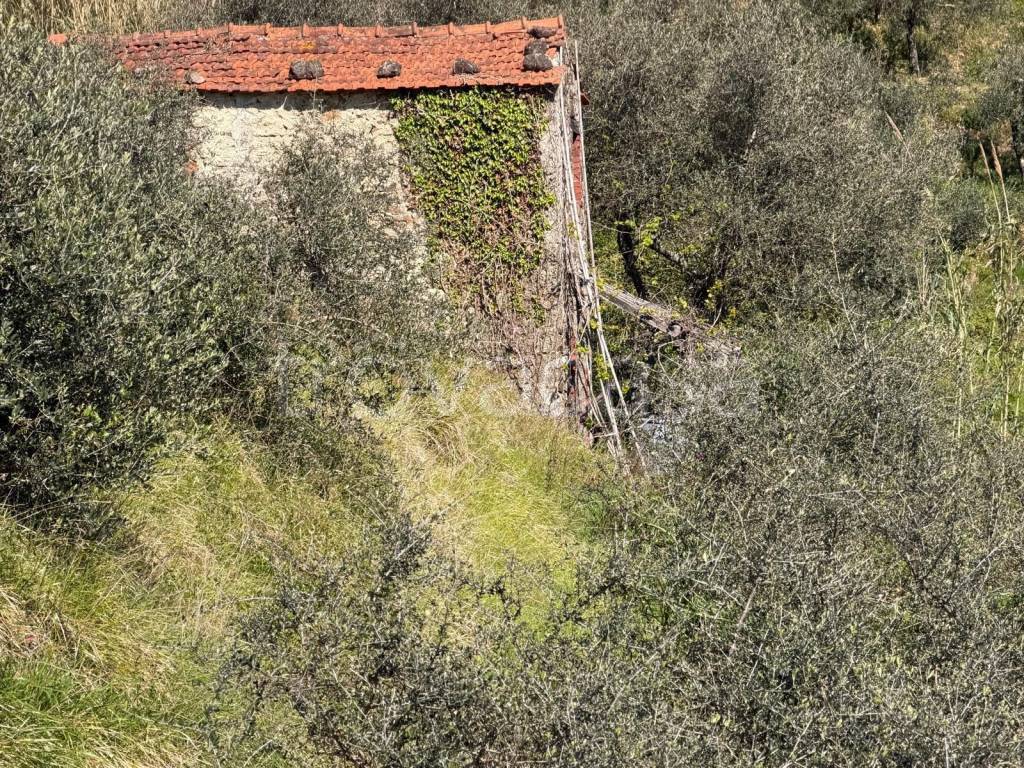 immagine annuncio 6 di 11