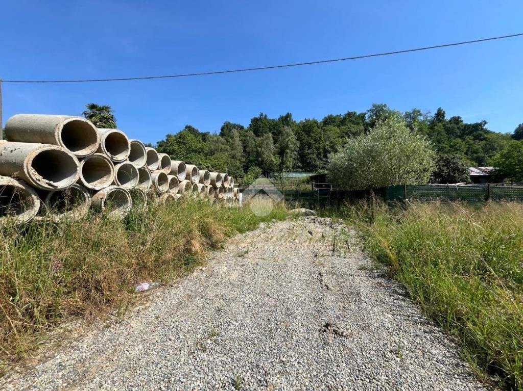 immagine annuncio 12 di 15