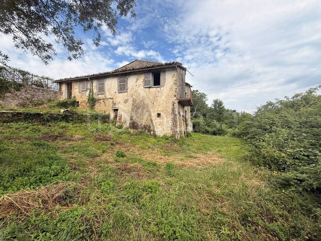 immagine annuncio 6 di 14
