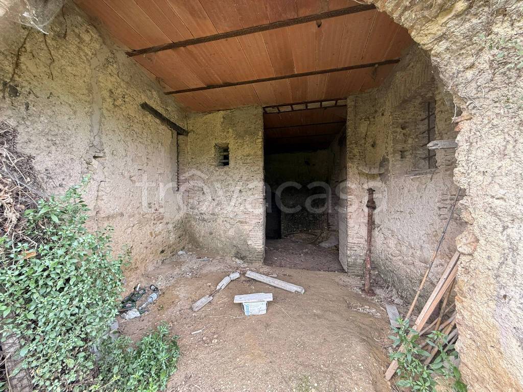 immagine annuncio 8 di 14
