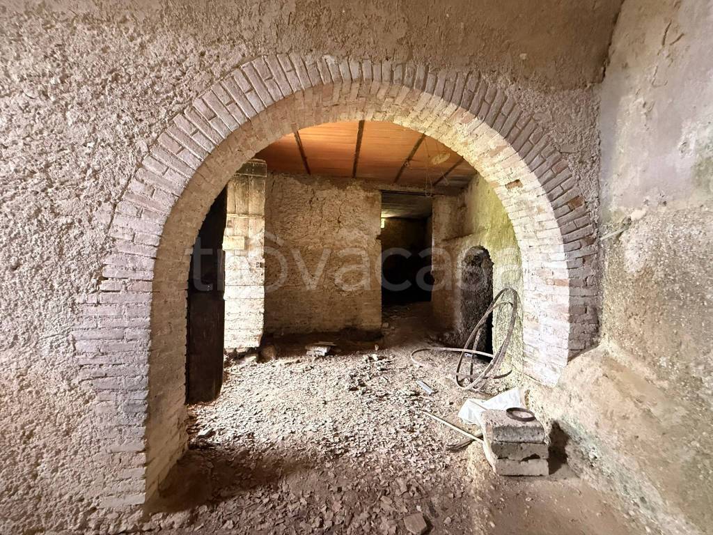 immagine annuncio 9 di 14