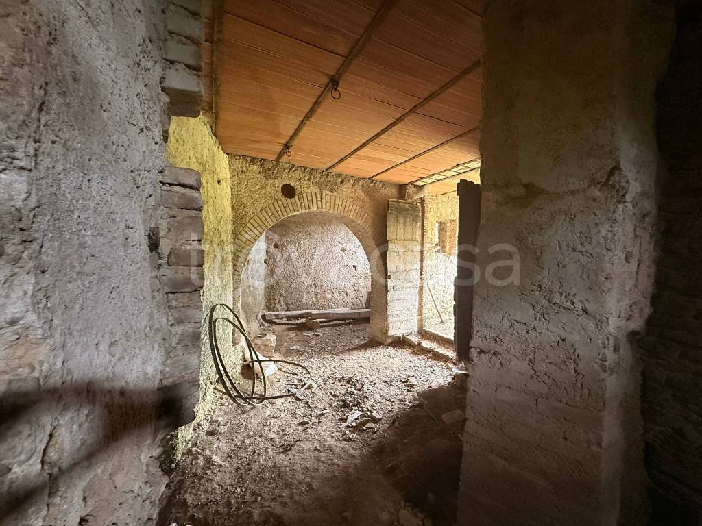 immagine annuncio 11 di 14