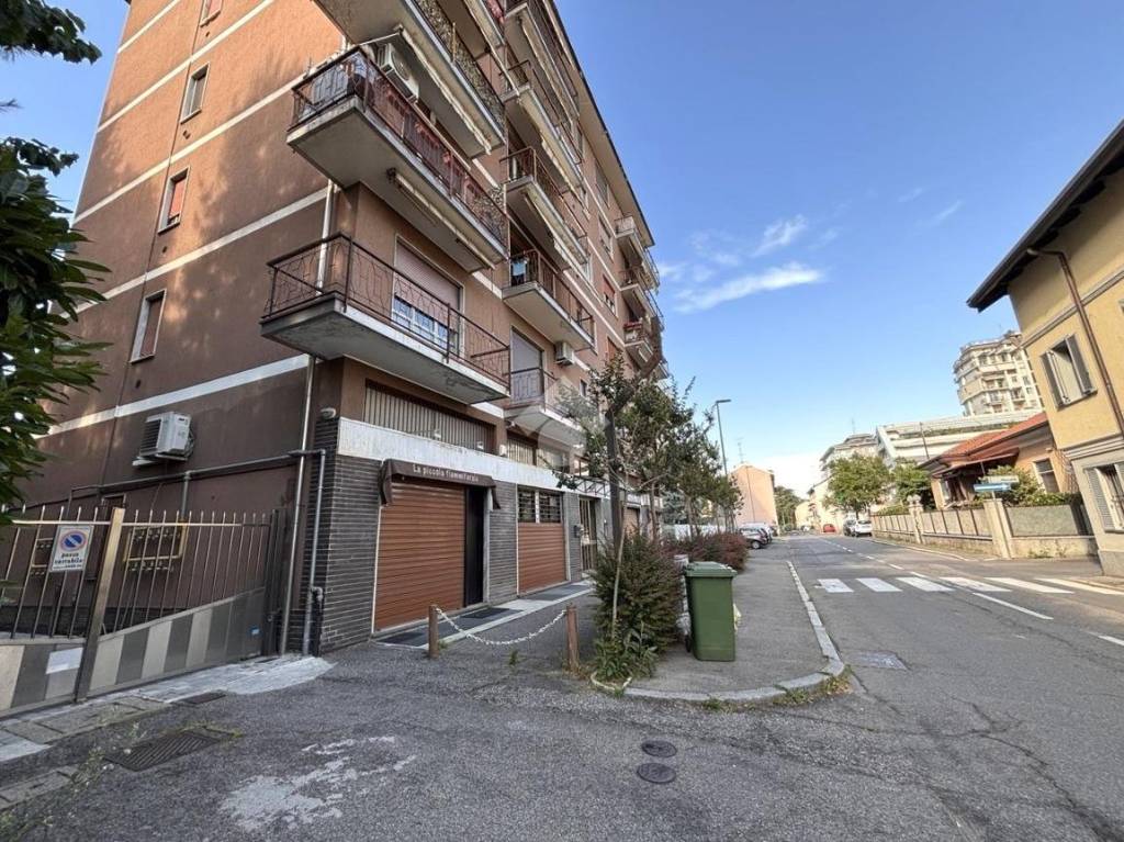 immagine annuncio 3 di 15