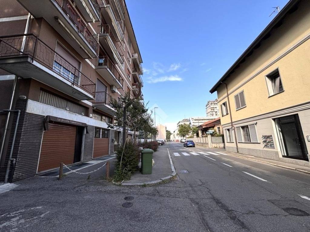 immagine annuncio 9 di 15