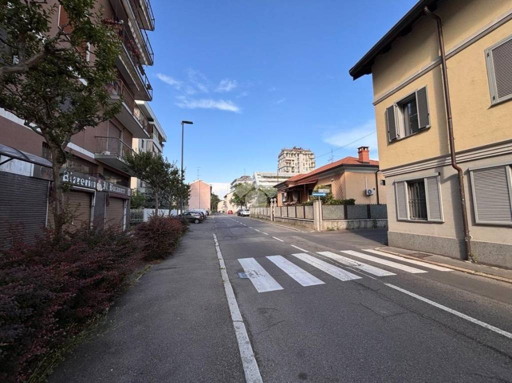immagine annuncio 10 di 15