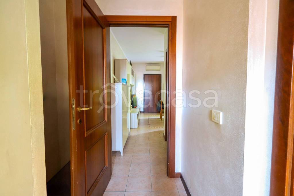 immagine annuncio 8 di 12