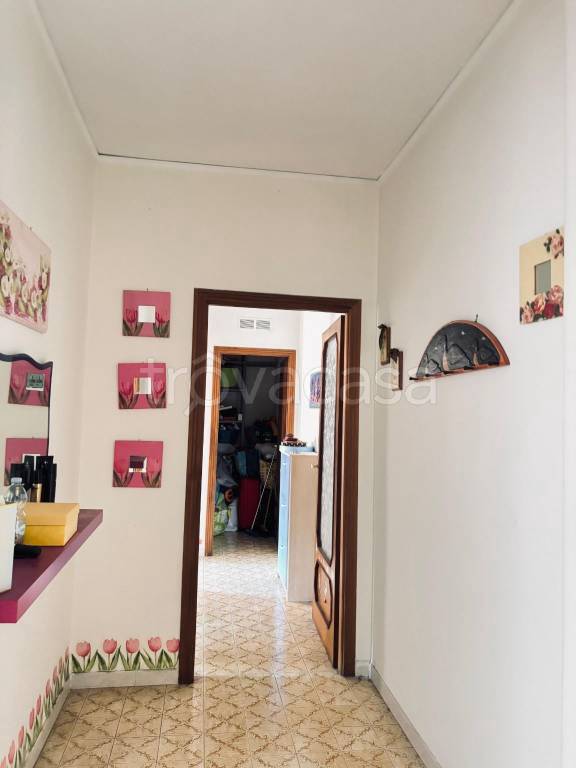 immagine annuncio 6 di 14