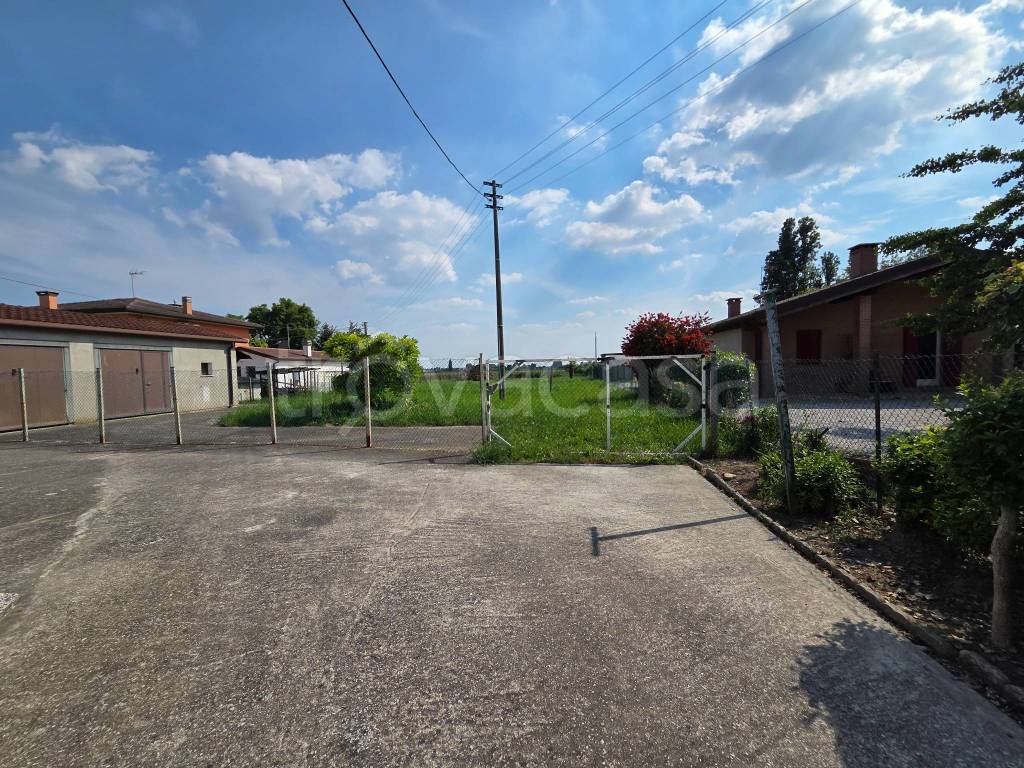 immagine annuncio 3 di 13