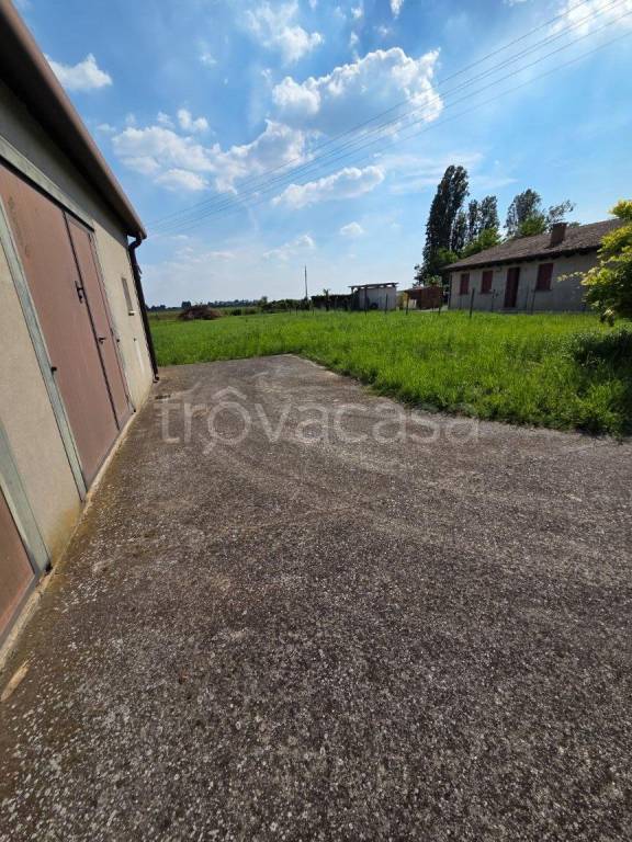 immagine annuncio 7 di 13