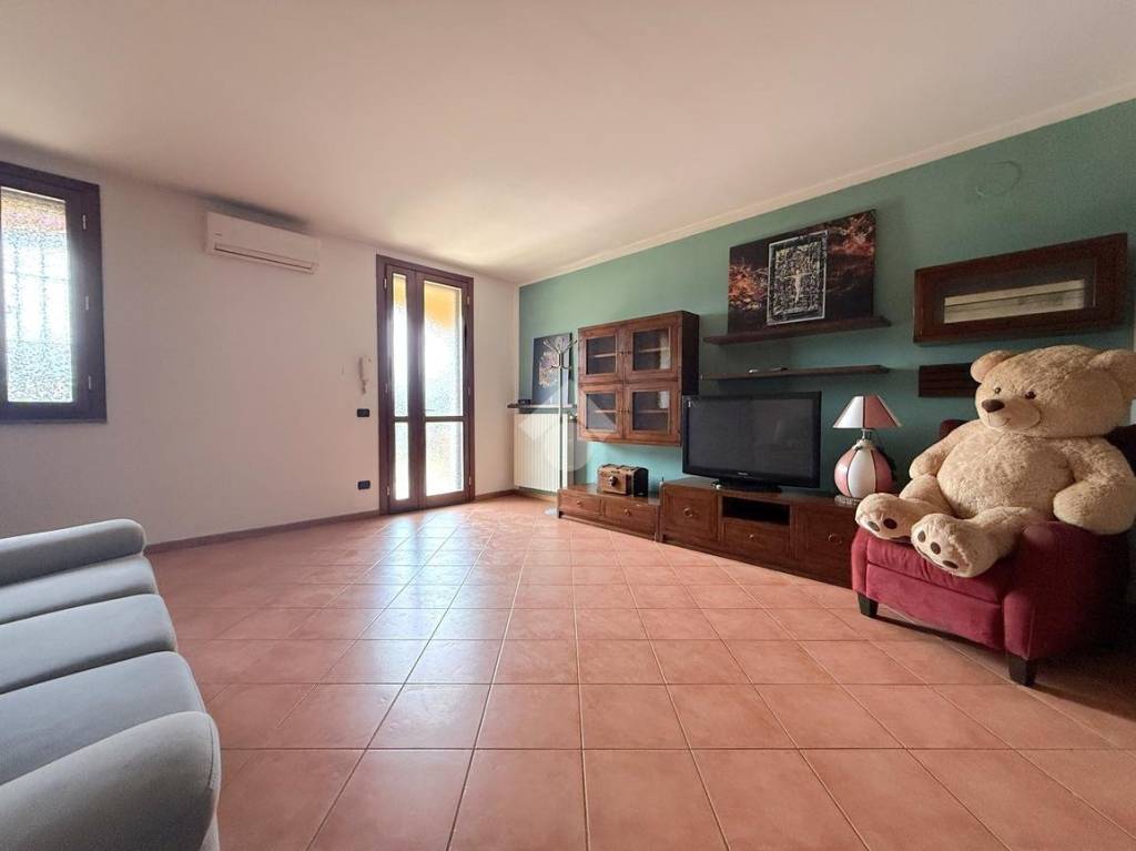 immagine annuncio 9 di 15